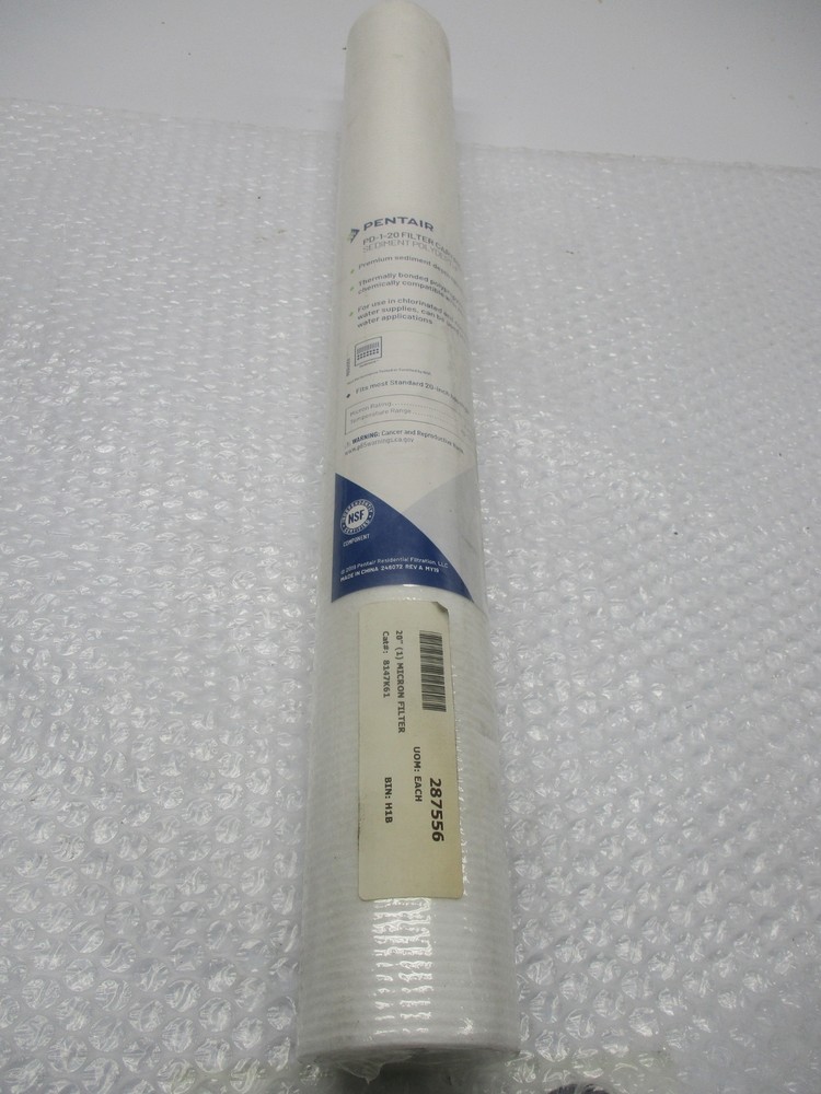 PENTAIR PD1-20 FILTER NSMP