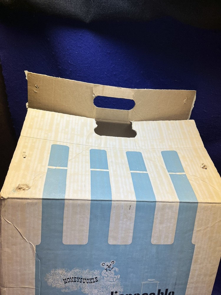 Vintage 1950’s Honeysuckle Disposable Diapers EMPTY Box Sears Robuck