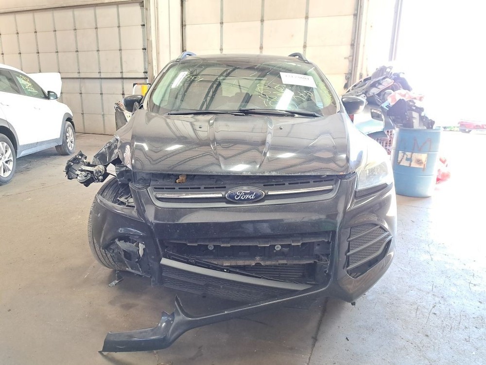 2015 Escape Jack Sku#4182999