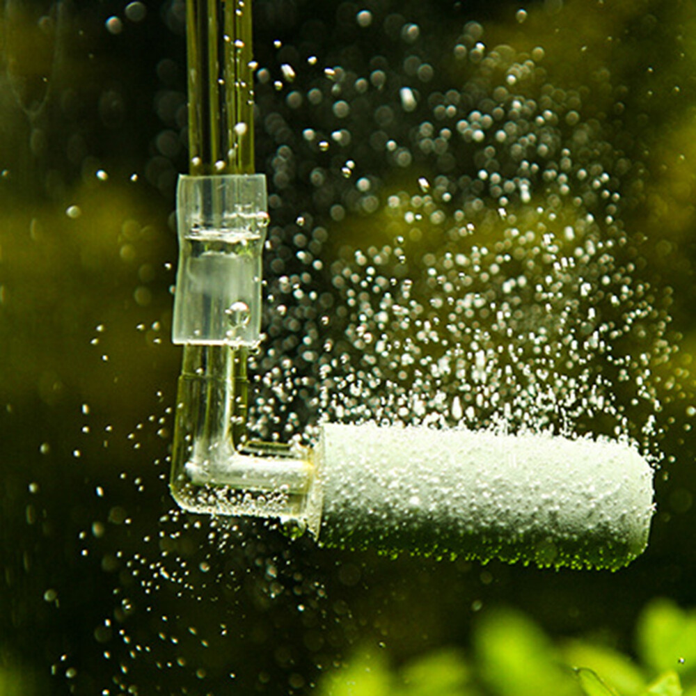 Co2 Regulator Aquarium Co2 Diffuser Aquarium Co2 Diffuser Plants