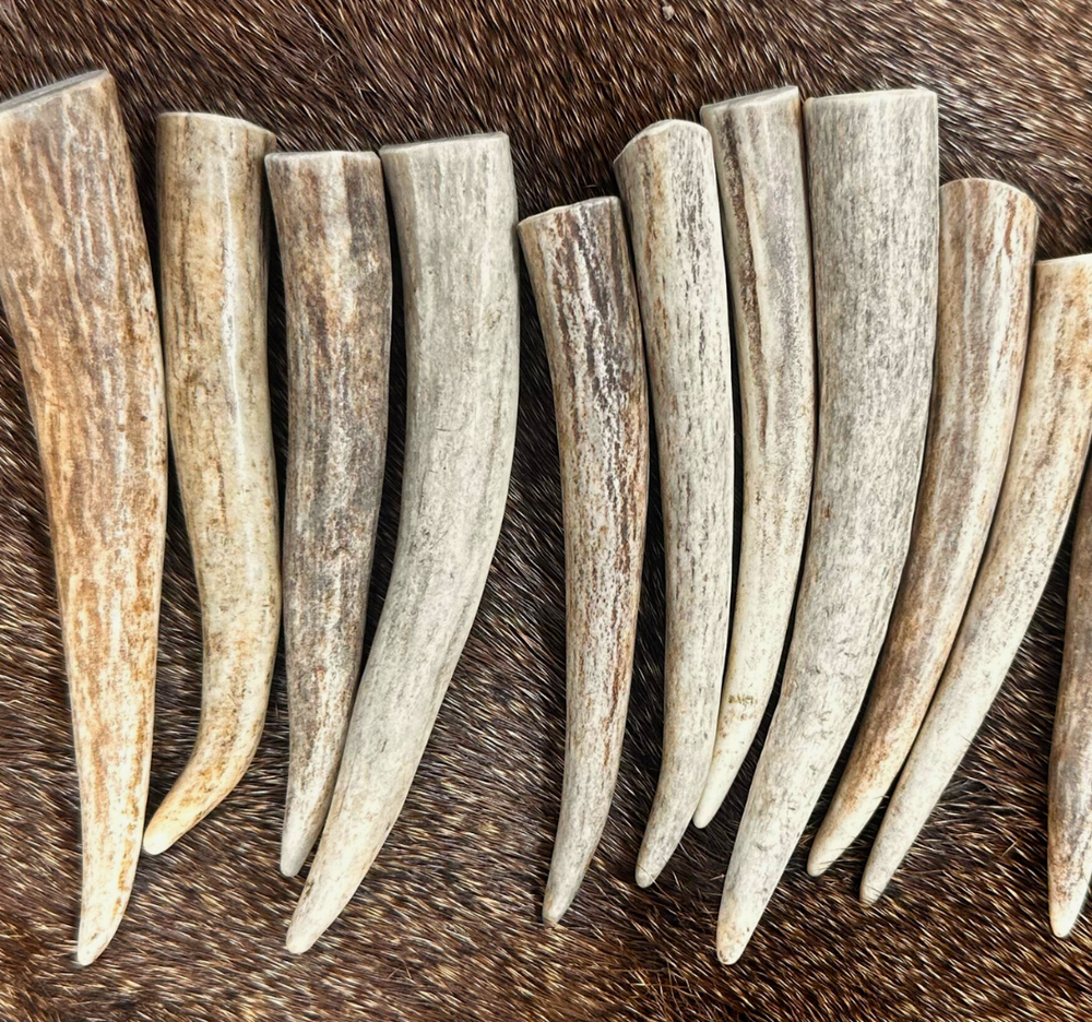 20 PACK - Premium * A * GRADE Deer Antler Crafting Tips (Choose Size)