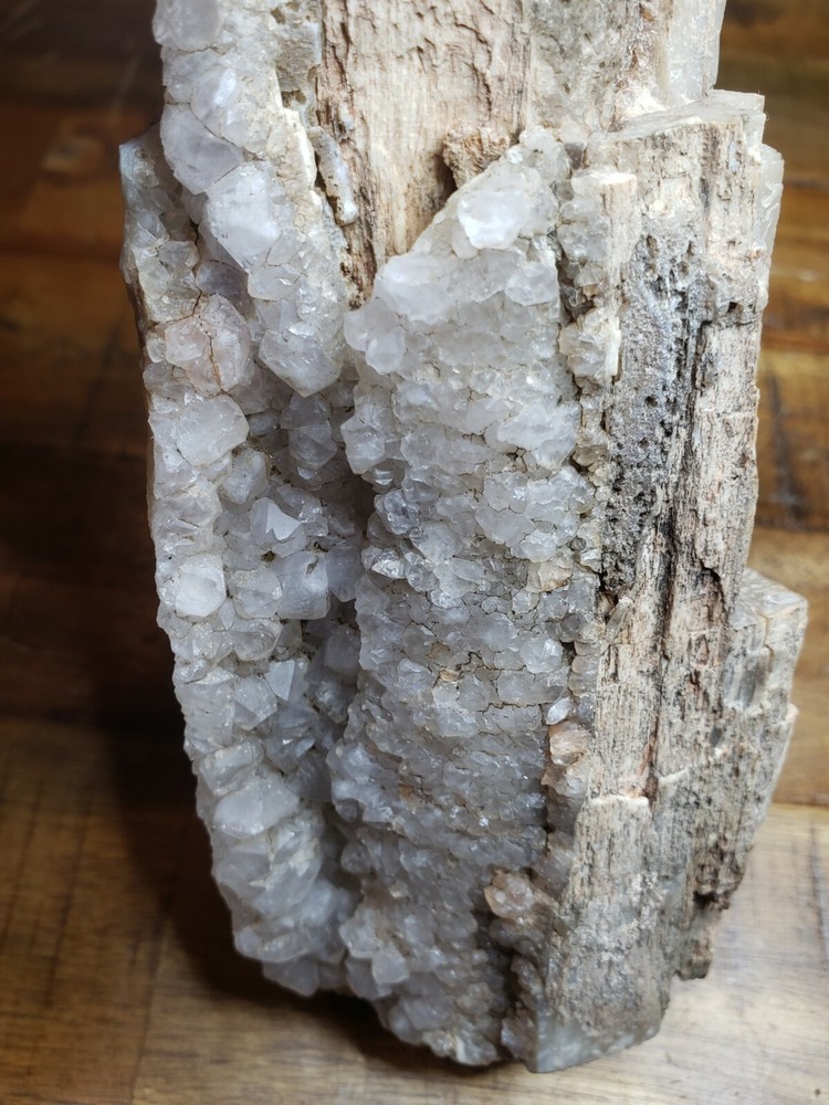 Crystalized Petrified Wood with vien 2.6lbs