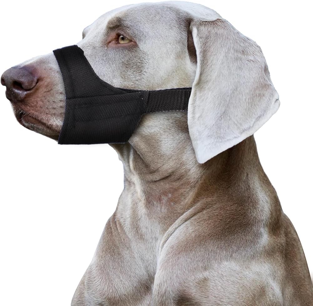 Short Snout Dog Muzzle, Dog Muzzle for Small and Medium Dogs