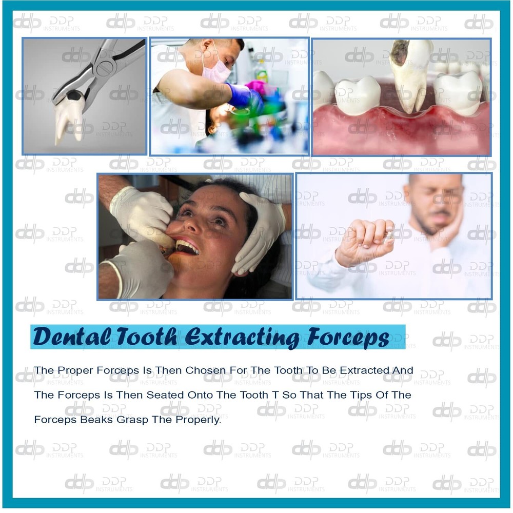 EXTRACTING FORCEPS # 222 DENTAL SURGICAL INSTRUMENTS