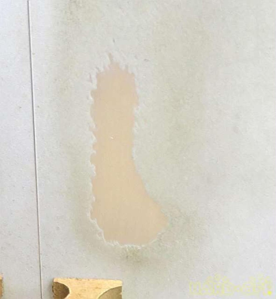 Fender Allegro 05412 Banjo