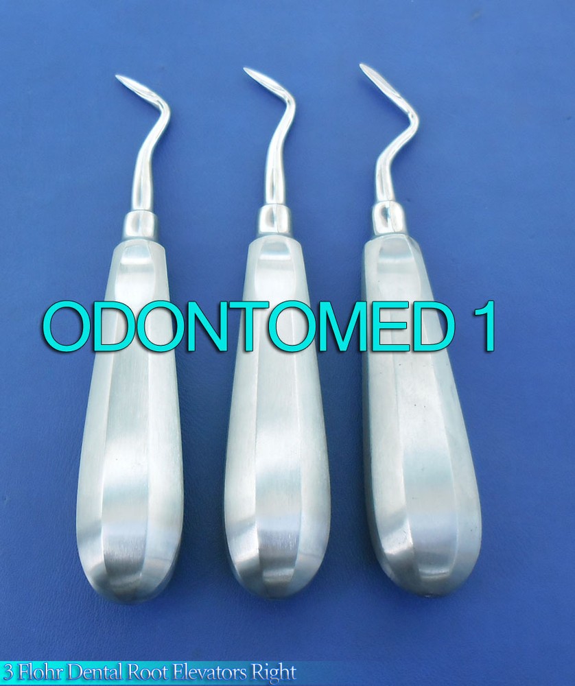 3 Flohr Dental Root Elevators Right Dental Instruments