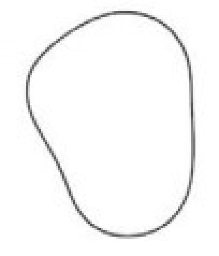 SPI SM-03130 | Chaincase Gasket