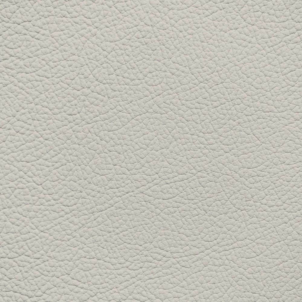 GM Whisper Beige Leather Dye