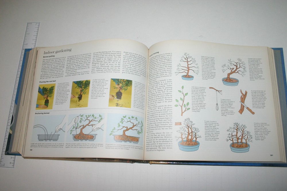 Reader's Digest Crafts & Hobbies: A Step-by-Step Guide to Creative Skills Book