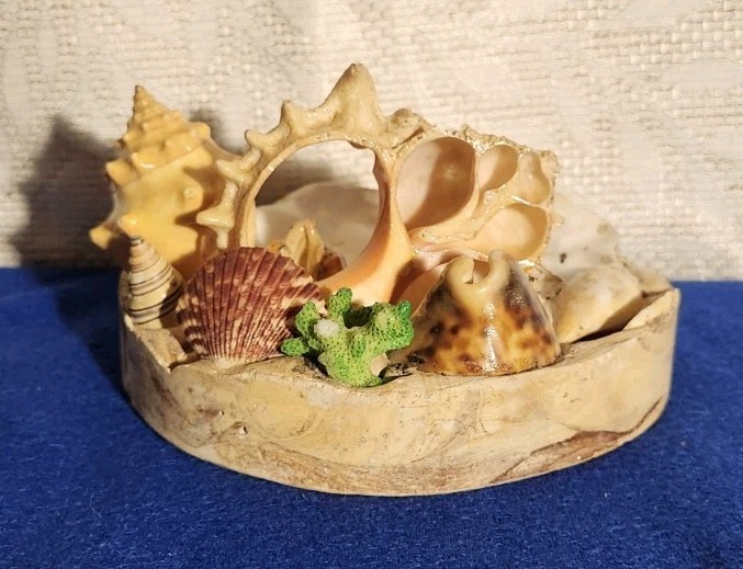 Vintage Seashell Souvenir Sea Shellcraft Arts