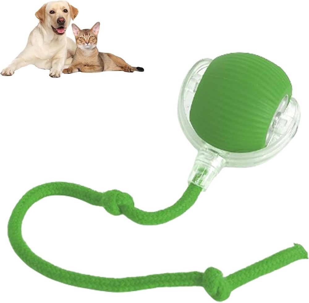 rolling ball for dogs