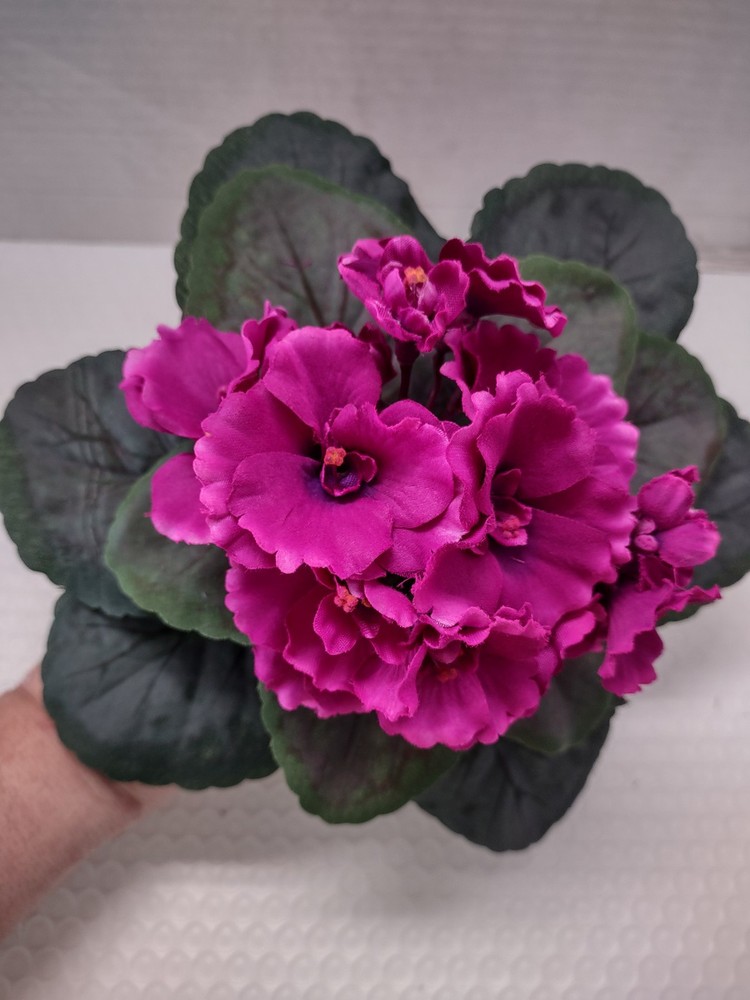 9" Artificial African violet (Magenta) without pot