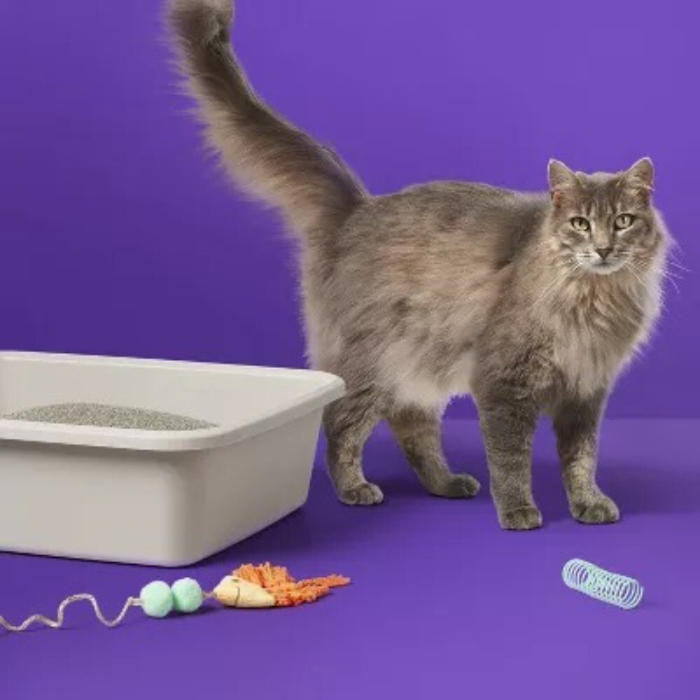 Scented Clumping Cat Litter Bag
