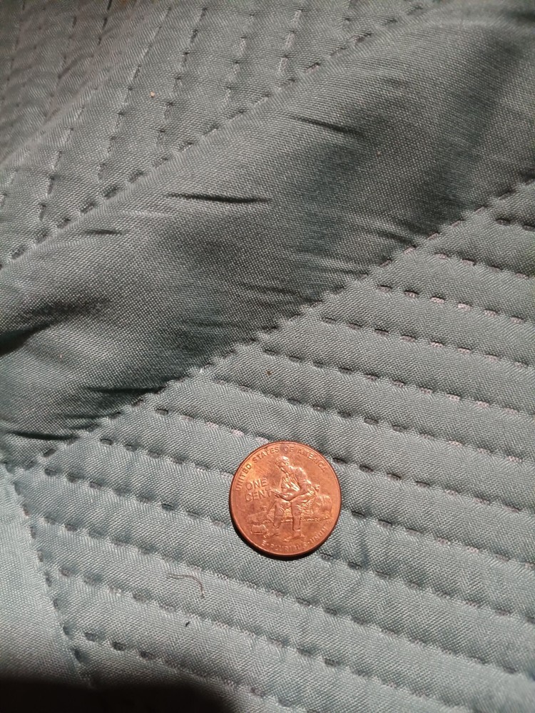 2009 lincoln penny d mint mark