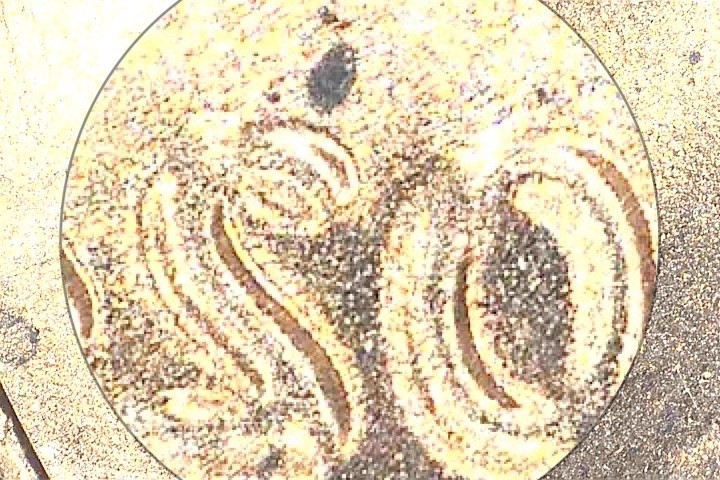 2024 Shield Penny with Many errors (very Clean). #P100