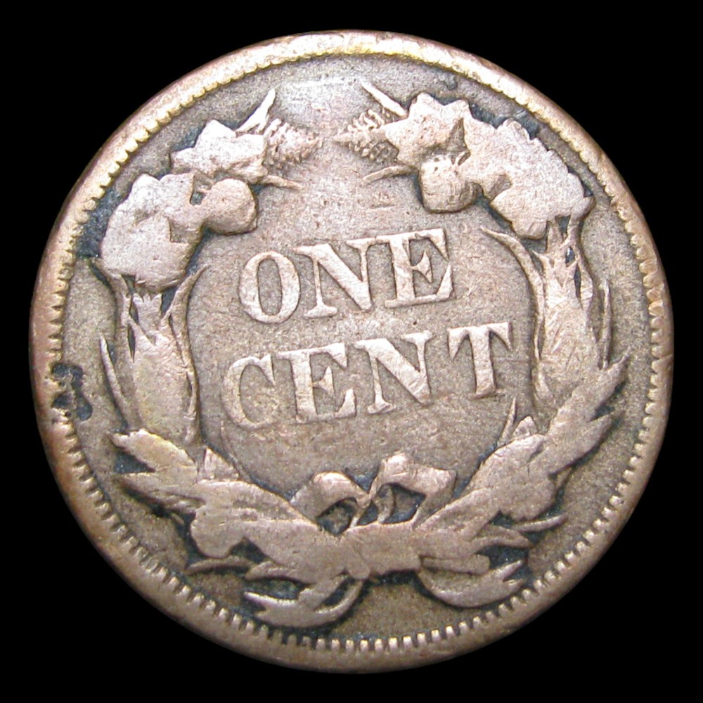 1858 Flying Eagle Cent Penny ---- Nice Coin ---- #PP652