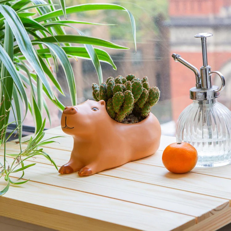 Kikkerland Large Capybara Planter