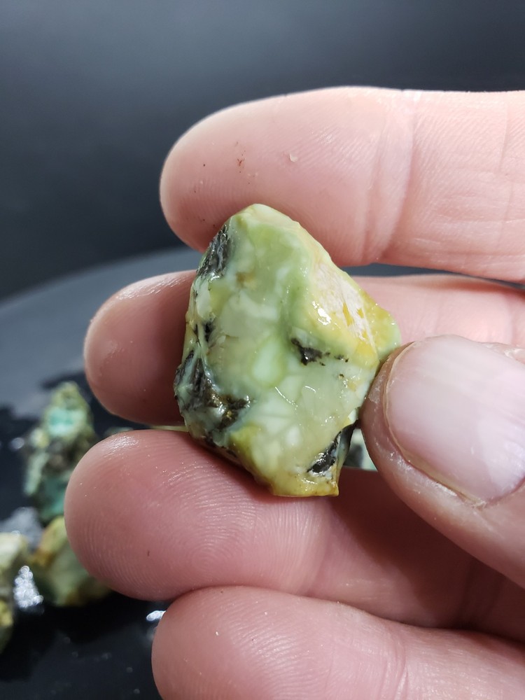 Nevada Gecko Variscite Rough 1/4 Lb