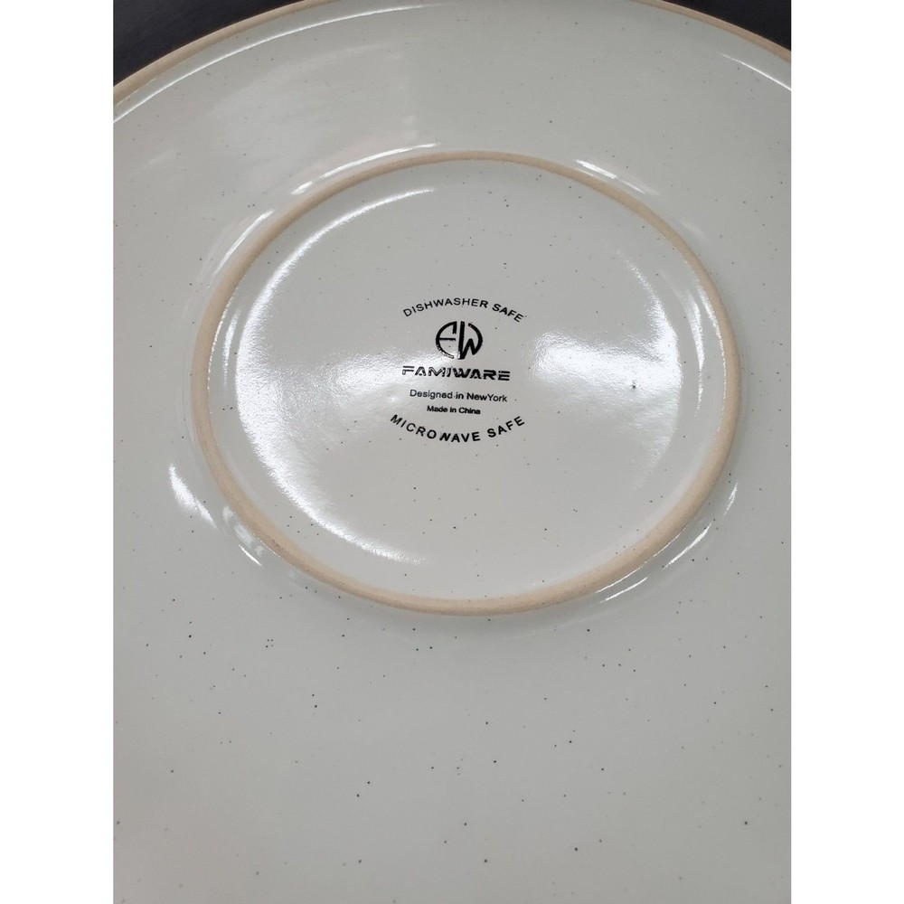 Famiware Nebula DINNER PLATE 10 INCH STONEWARE