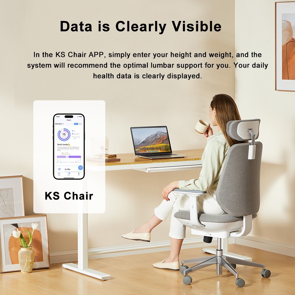 Smart Office Chair C5 For Multi-Functional Height-Adjustable Inflatable Heated