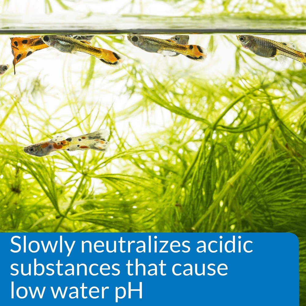 Api Ph Up Freshwater Aquarium Water Ph Raising Solution 1.25 Oz Safe For Fish