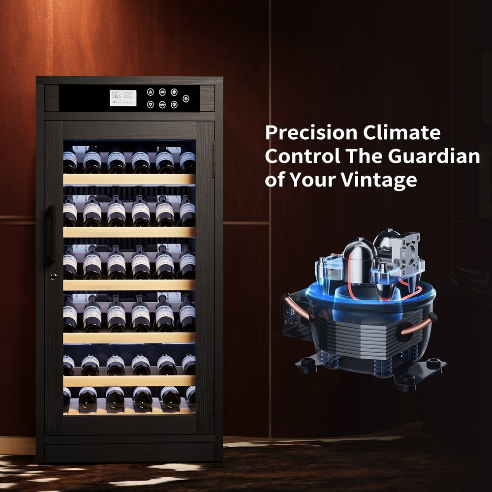 69 Bottles Touch Screen Display Constant Temperature Grape Wine Cooler,Black