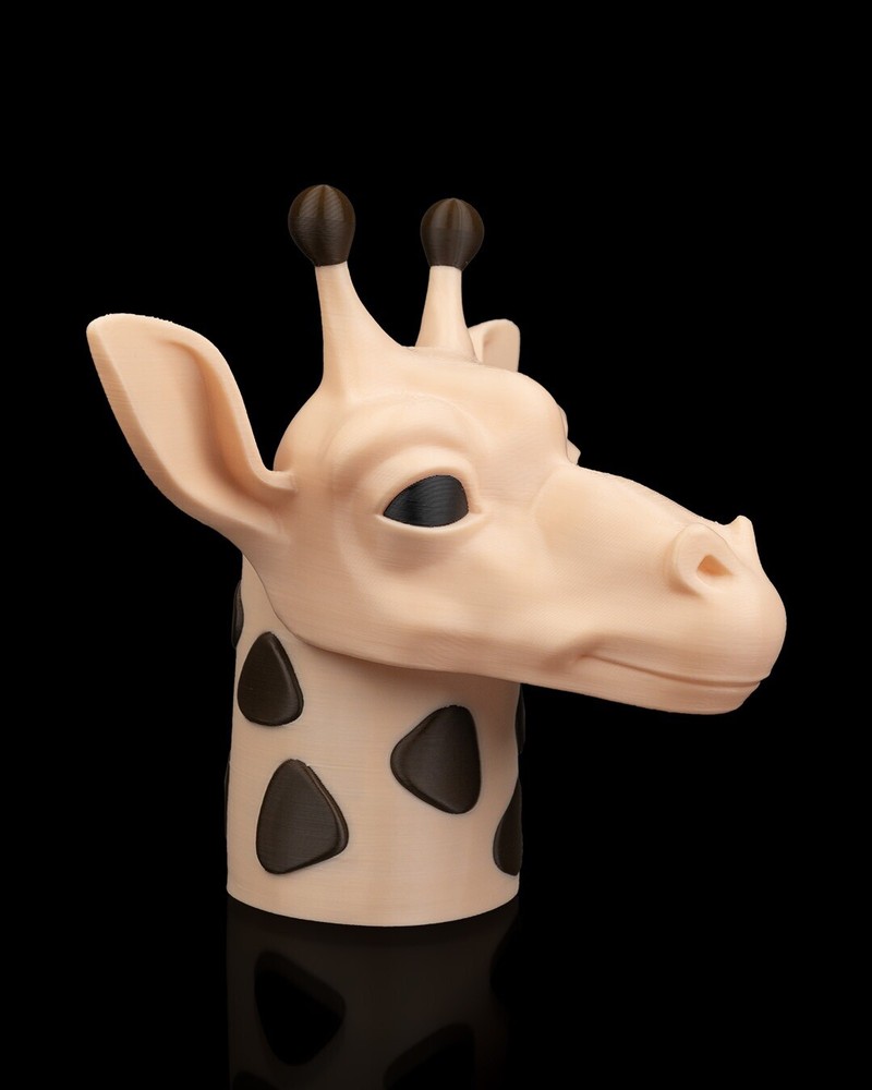 Mr. Giraffe Glasses and pen holder