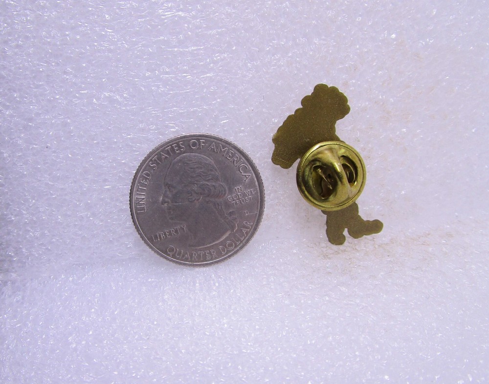 Map Italy Plastic Pin
