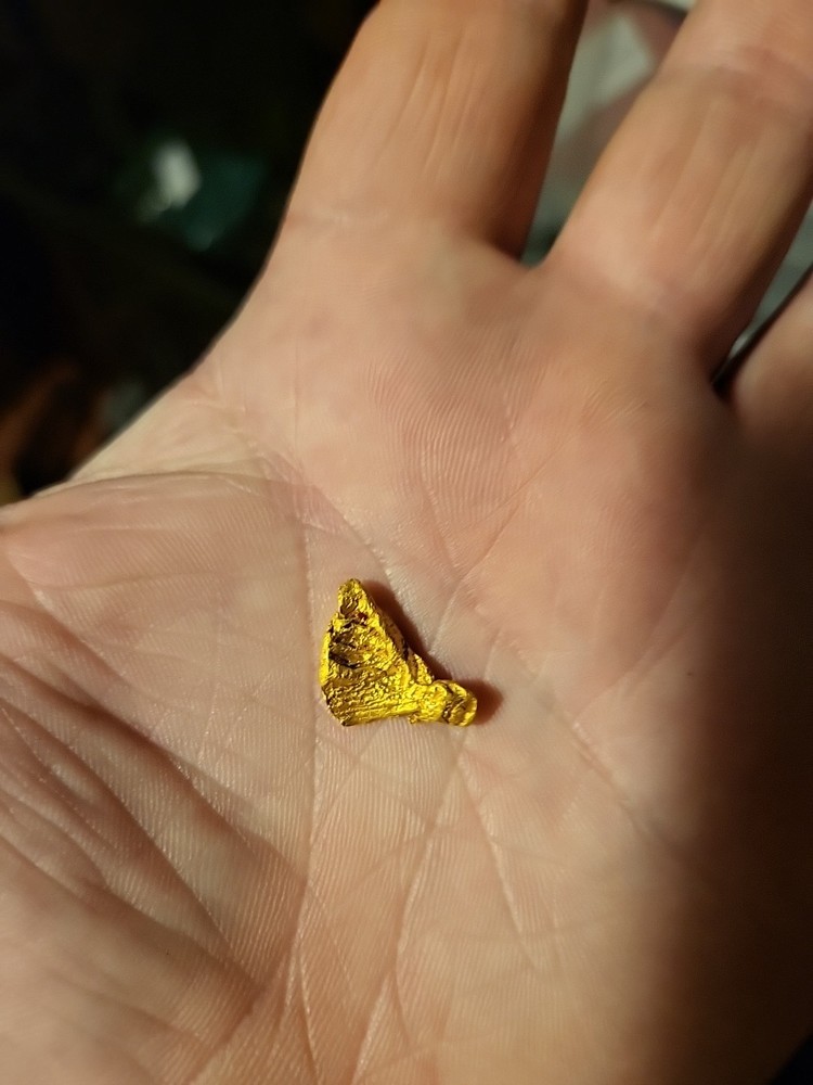 Gold Nugget