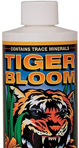 FoxFarm Tiger Bloom Liquid Concentrate, 1 pt