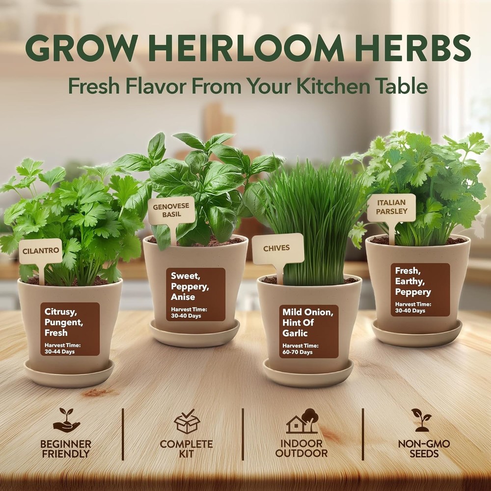 Beginner-Friendly Indoor Herb Starter Kit – Grow 4 Heirloom Plants Effortlessly