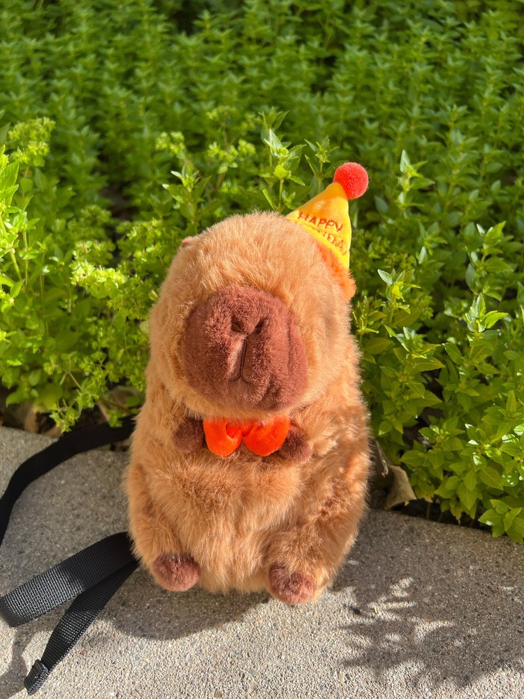 Capybara Birthday Chalk Bag