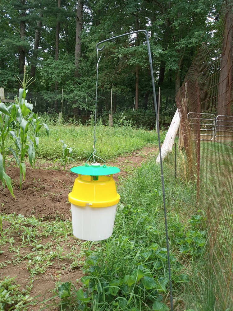 Fall Armyworm Trap with Lure