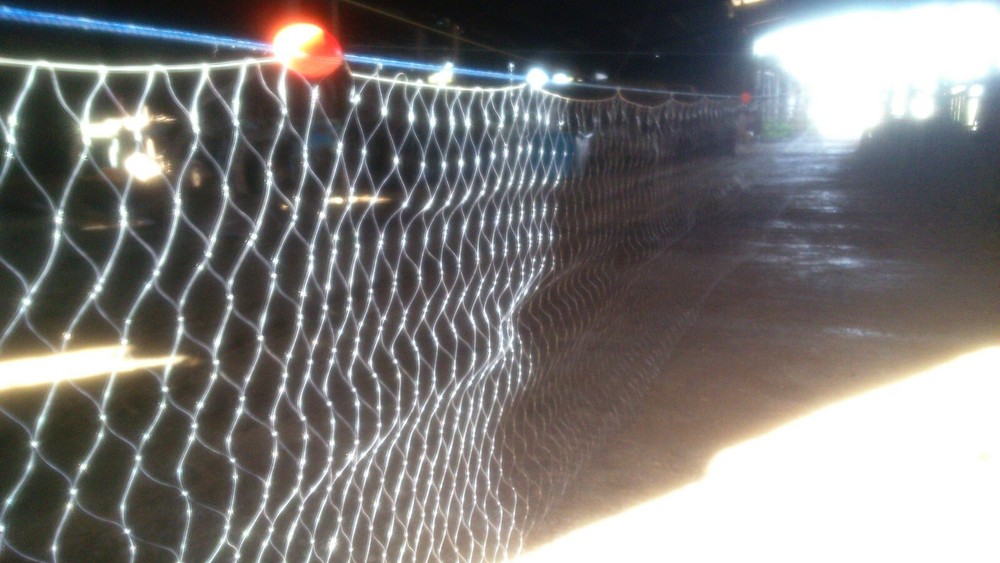 Gill Net/Survival Net/Multi Species Catch Net 75 ft Long/4"mesh