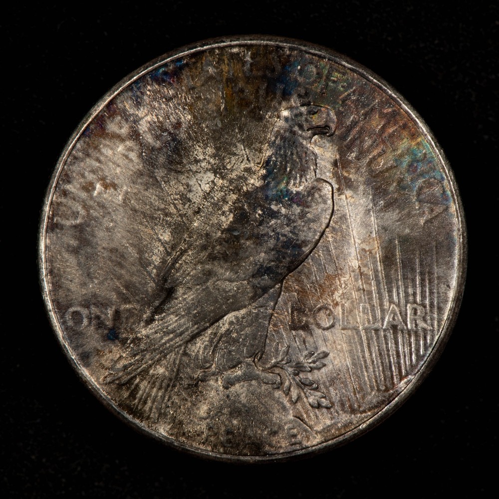 1925 $1 Silver Peace Dollar - Violet Rainbow Pattern - SKU-D7348