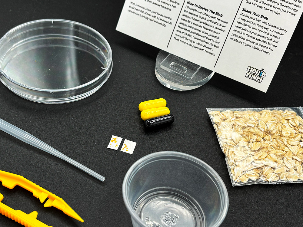 Slime Mold Educational Science Kit, Physarum polycephalum Study Project