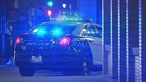 X2 Wagger Alternating WigWager Flasher Emergency Controller LED Strobe Light