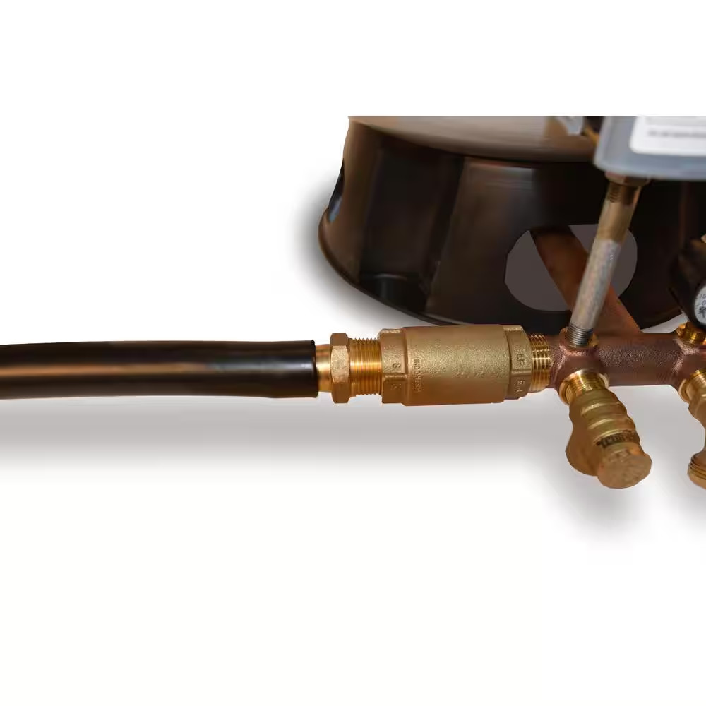 1 In. Brass Check Valve