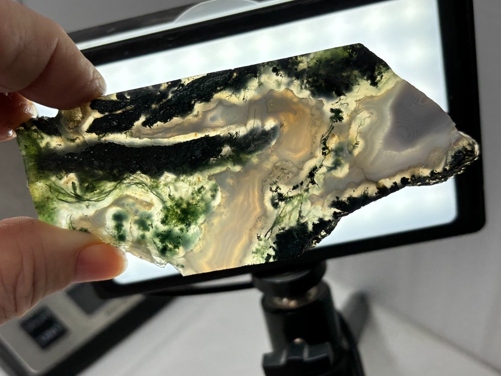 Semi-translucent Moss Agate Slabs Cabbing Lapidary Combo Ship Avail