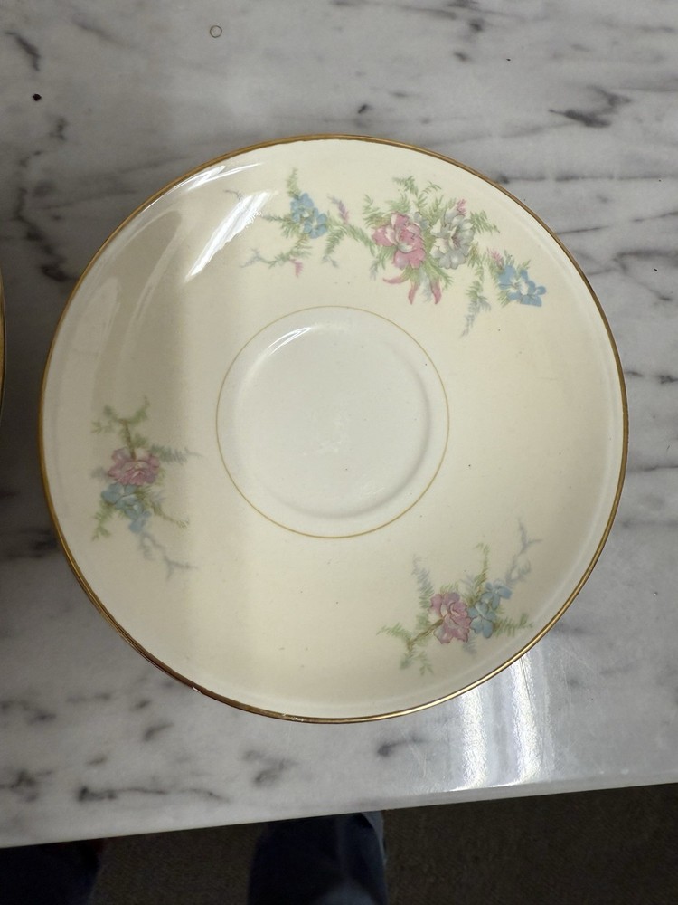 Nautilus Floral Gold Trim Dinner Set- eggshell