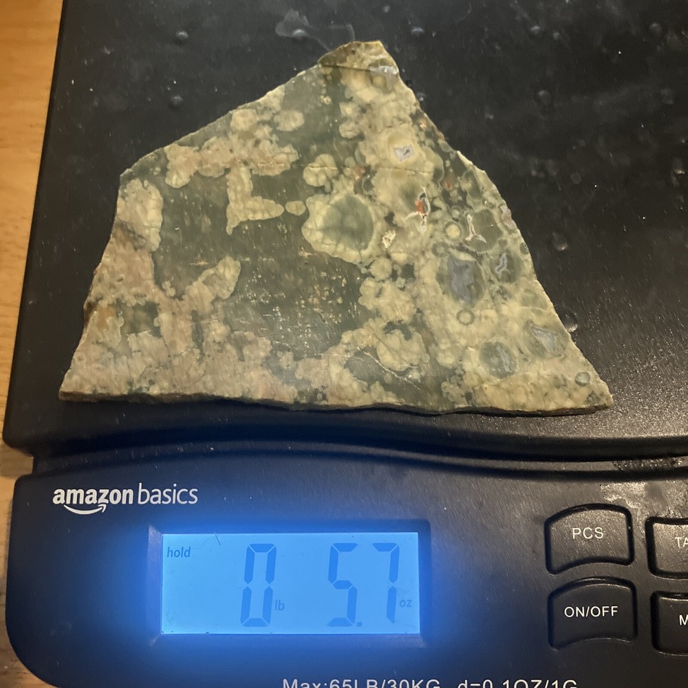 Rainforest Jasper Slab