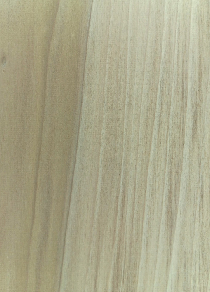 Poplar Wood 4-pack