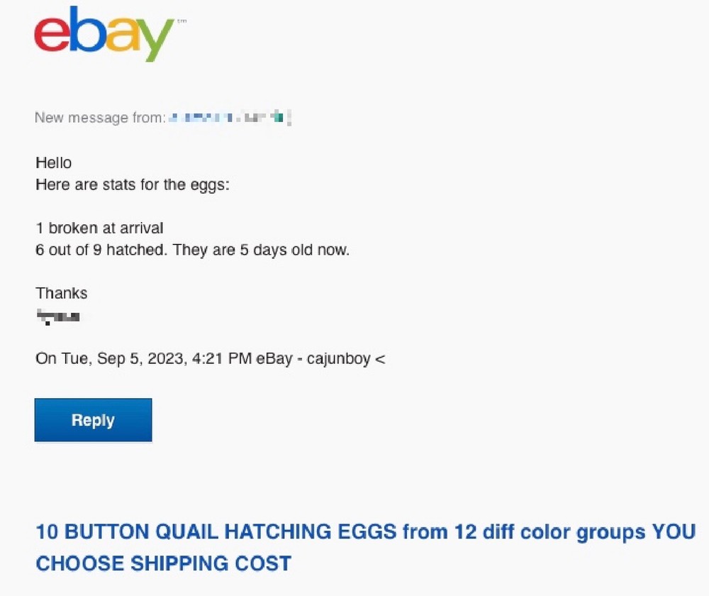 20 White & Tuxedo BUTTON QUAIL EGGS ships USPS PRIORITY @ your risk READ ALL
