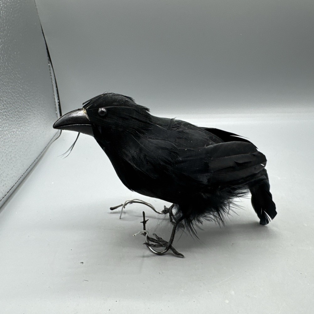 5 PCS Black Feathered Crows Halloween Ravens