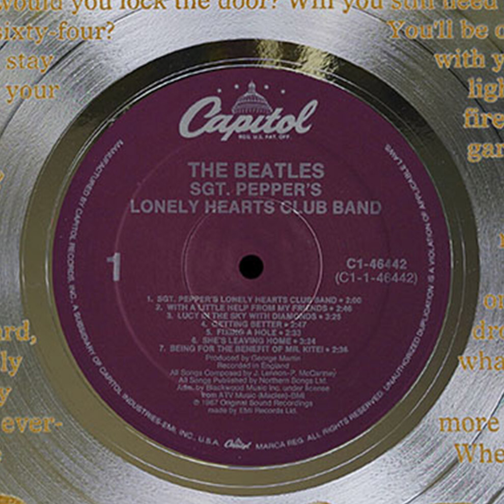 Beatles - When I'm 64 etched silver LP record wallart