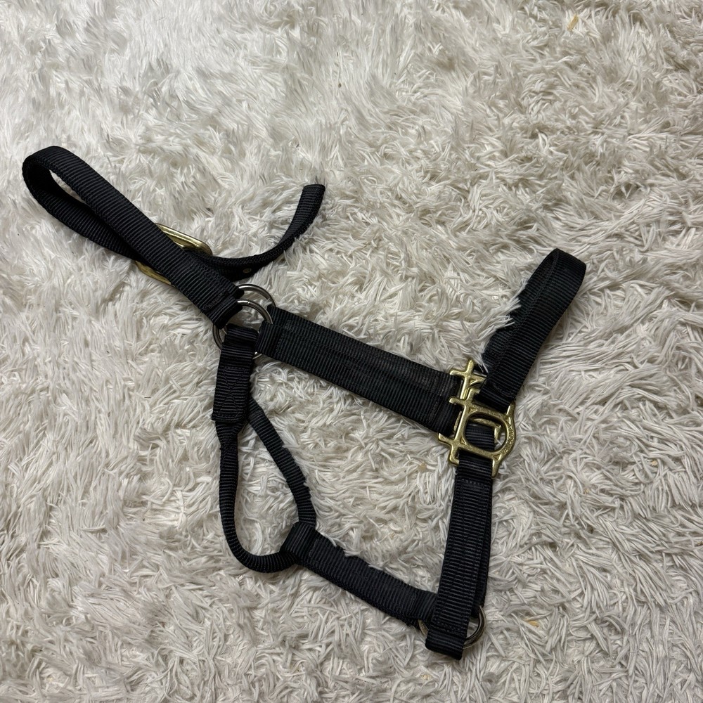 Medium Navy Nylon Horse Halter