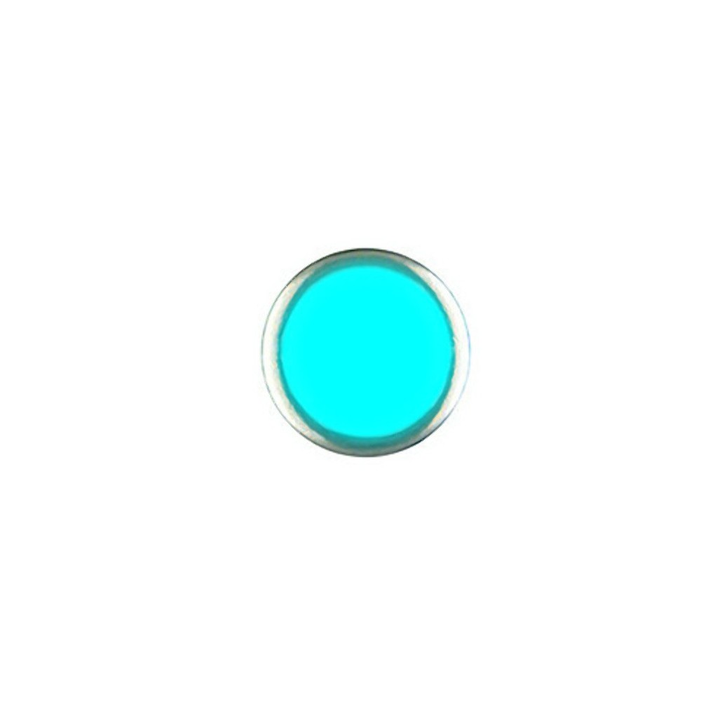 REPLACEMENT PEARL PIP SILVER LUME TURQUOISE FOR BEZEL INSERT 2MM