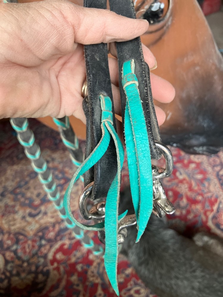 reins