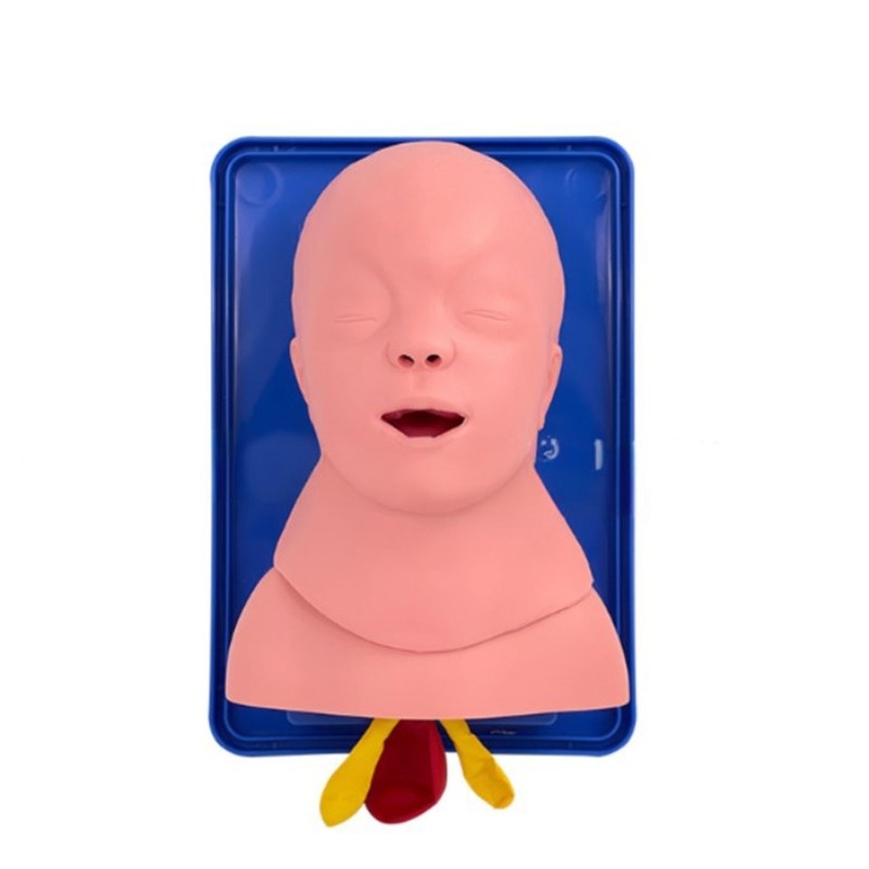 Baby Airway Insertion Training Model