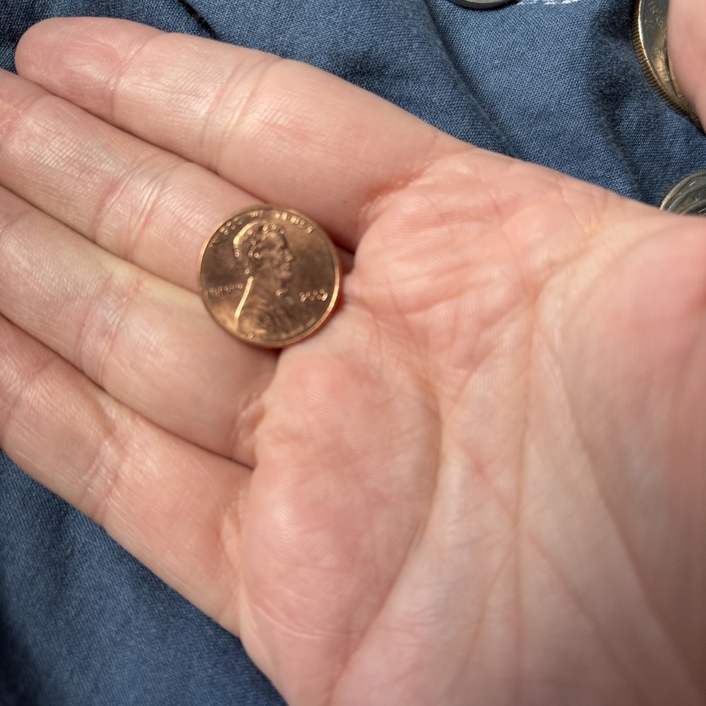 2009 D Penny. Log Cabin.
